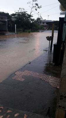 
        
            Tucuruí vive calamidade após fortes chuvas
        
    