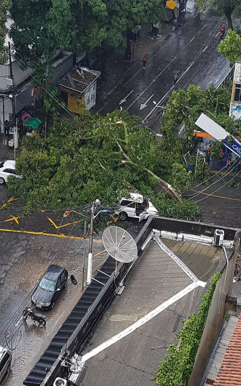 
        
            Árvore derruba poste e atinge veículos em Nazaré
        
    