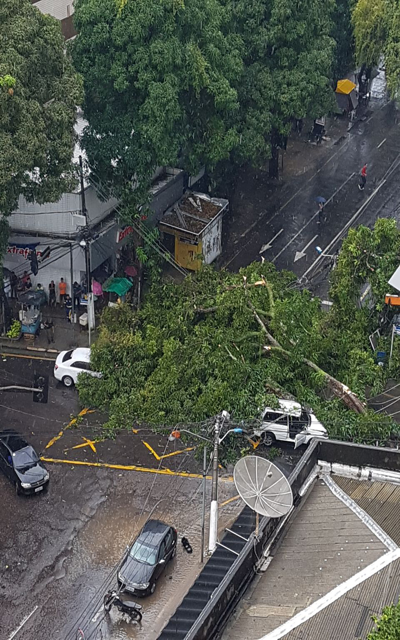 
        
            Árvore derruba poste e atinge veículos em Nazaré
        
    