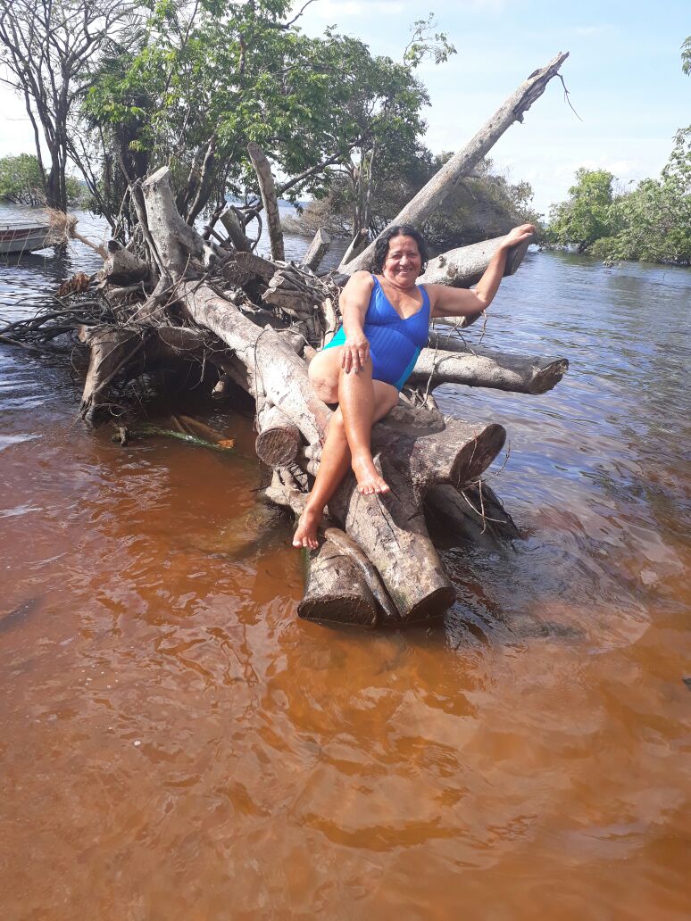 
        
            Galeria de Verão DOL
        
    