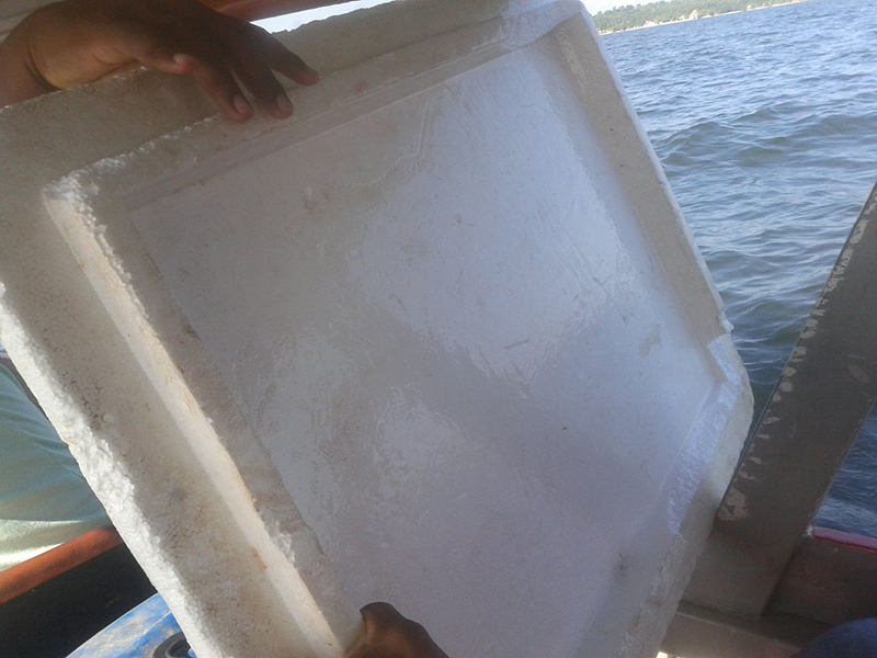 
        
            Embarcação com 70 passageiros naufraga no Pará
        
    