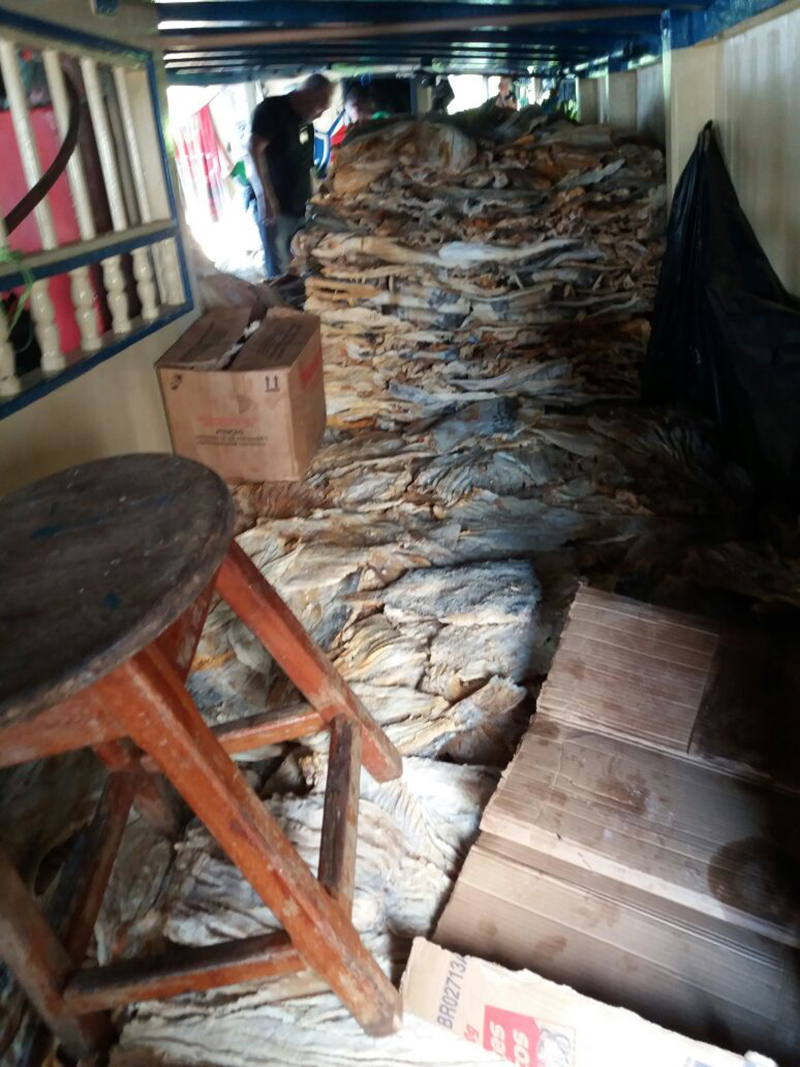 
        
            Polícia apreende 20 toneladas de pirarucu em Abaetetuba 
        
    