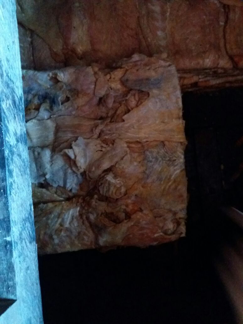 
        
            Polícia apreende 20 toneladas de pirarucu em Abaetetuba 
        
    