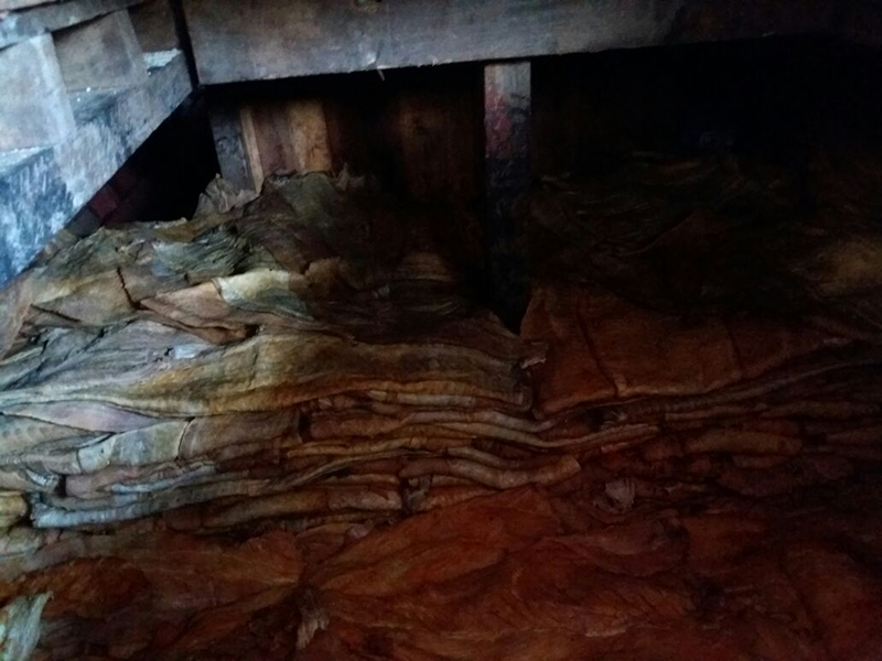 
        
            Polícia apreende 20 toneladas de pirarucu em Abaetetuba 
        
    