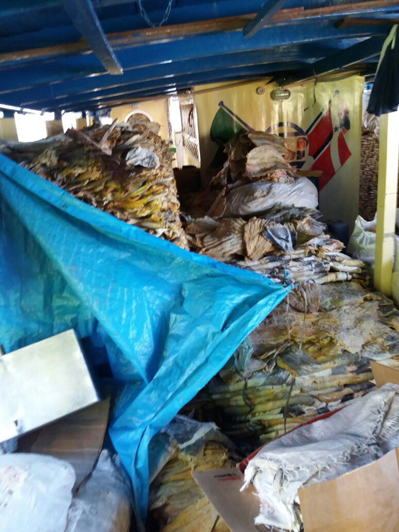 
        
            Polícia apreende 20 toneladas de pirarucu em Abaetetuba 
        
    