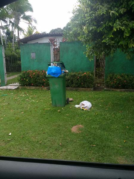 
        
            Ministério Público vai apurar falta de recolhimento de lixo
        
    