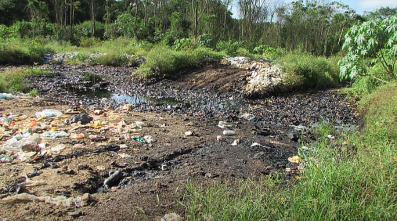 
        
            Rio Caraparu está contaminado
        
    