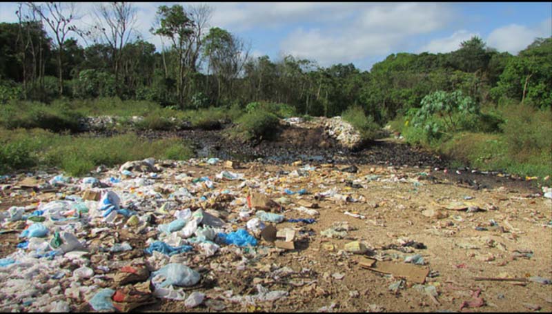 
        
            Rio Caraparu está contaminado
        
    