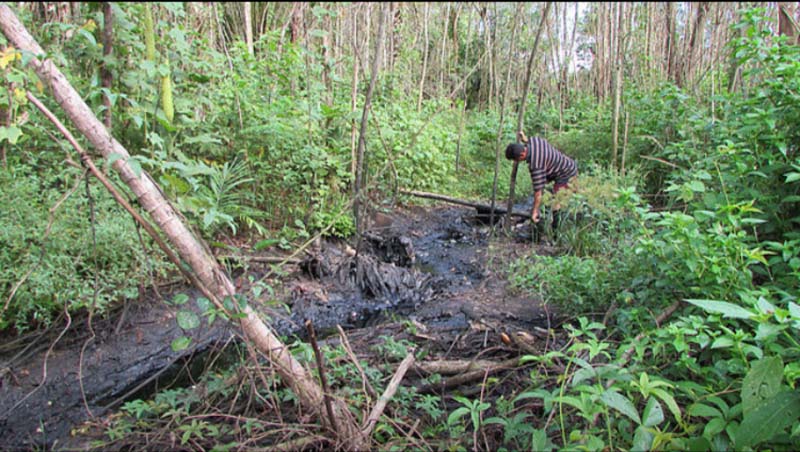 
        
            Rio Caraparu está contaminado
        
    