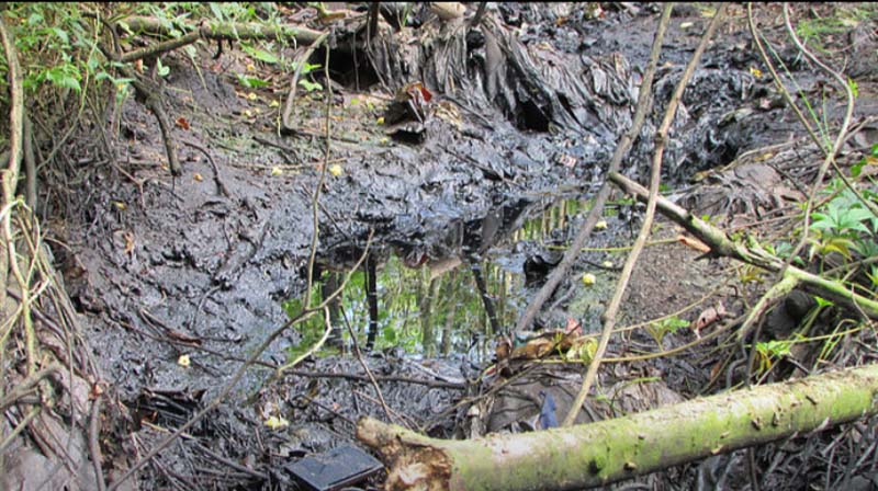 
        
            Rio Caraparu está contaminado
        
    
