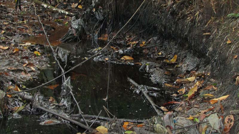 
        
            Rio Caraparu está contaminado
        
    