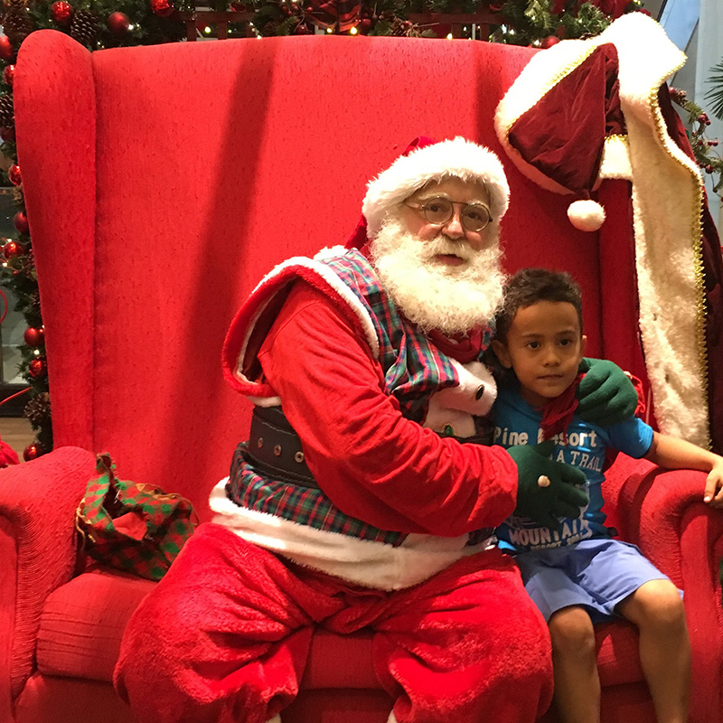 
        
            DOL entra em clima de Natal com galeria especial
        
    