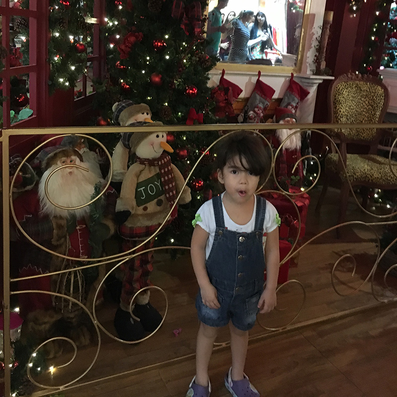 
        
            DOL entra em clima de Natal com galeria especial
        
    