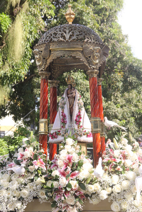 
        
            Procissão da Festa leva milhares de fiéis as ruas
        
    