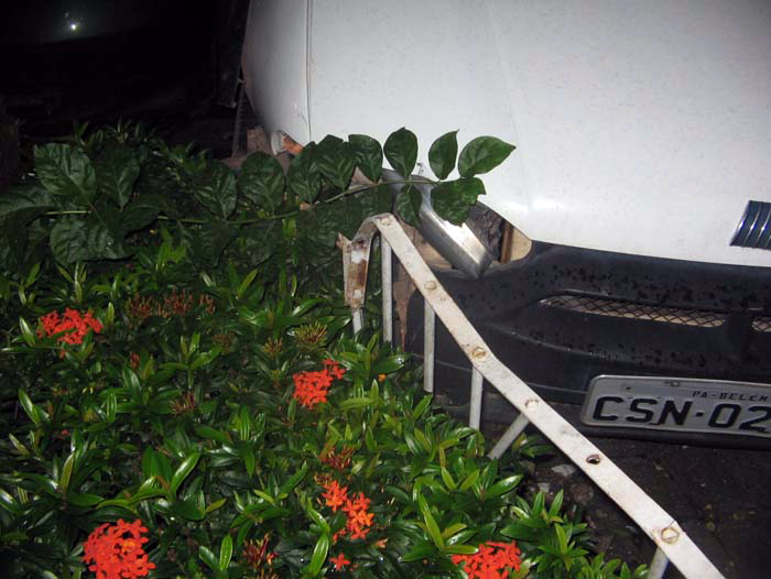 
        
            Casal é atropelado na Boaventura da Silva
        
    