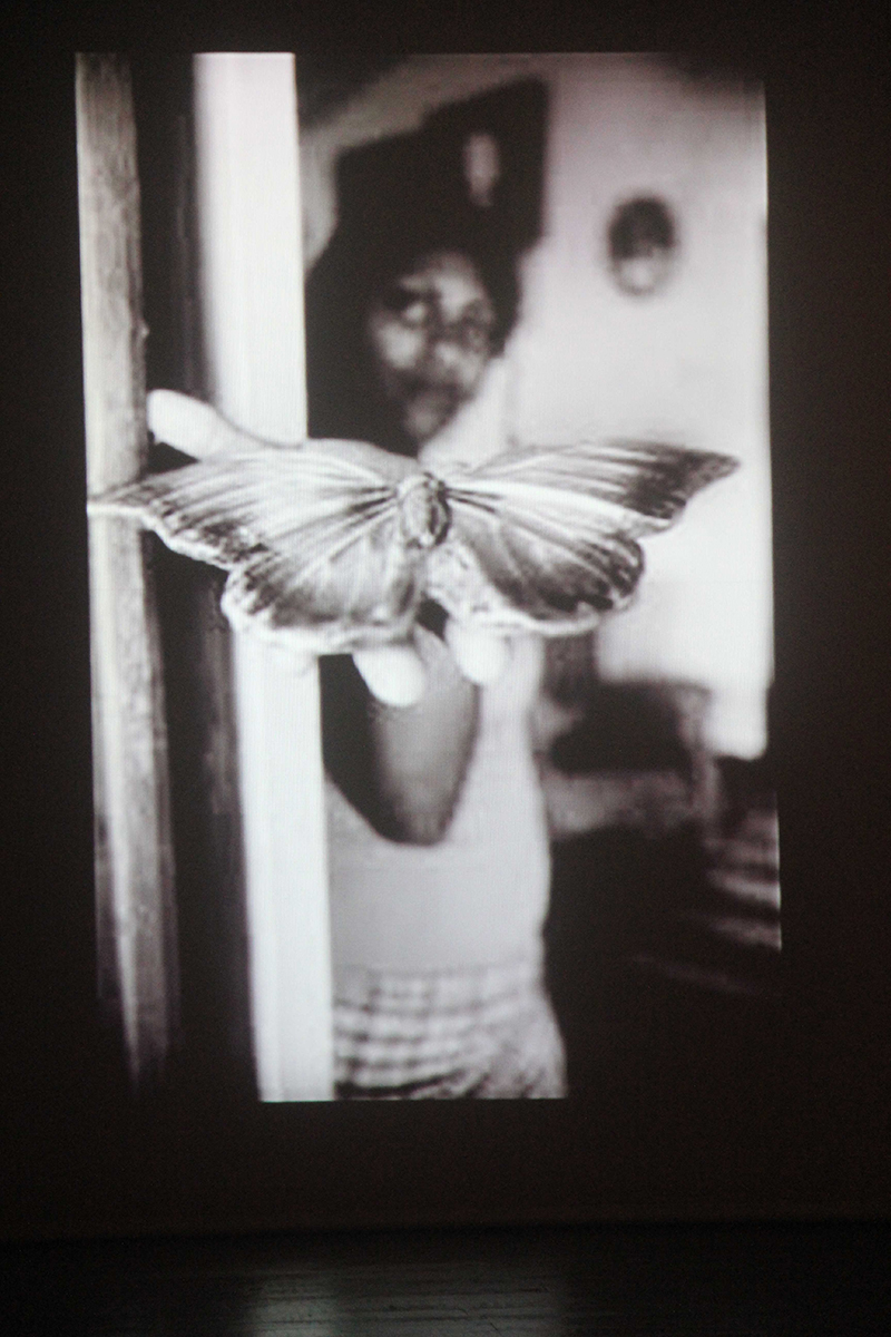 
        
            5ª edição do Prêmio Diário Contemporâneo de Fotografia
        
    