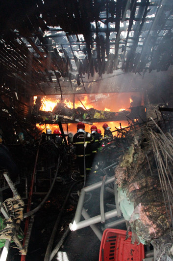 
        
            Fogo destrói loja no centro comercial de Belém
        
    