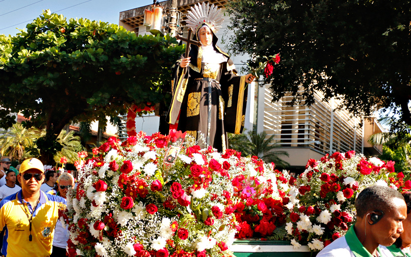 
        
            Santa Rita de Cássia é homenageada com rosas
        
    