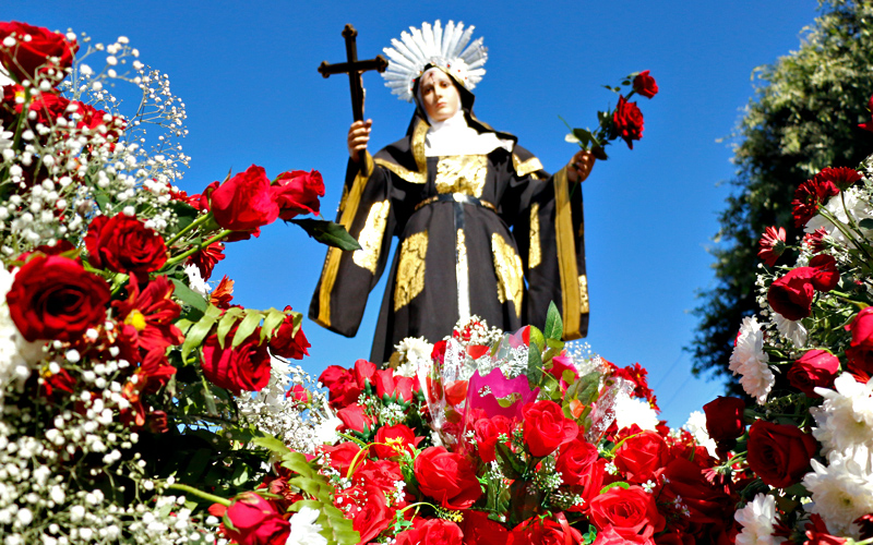
        
            Santa Rita de Cássia é homenageada com rosas
        
    