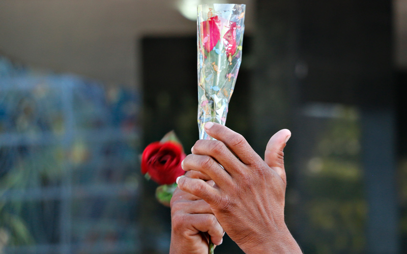 
        
            Santa Rita de Cássia é homenageada com rosas
        
    
