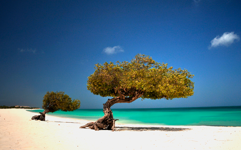 
        
            Conheça os encantos de Aruba
        
    