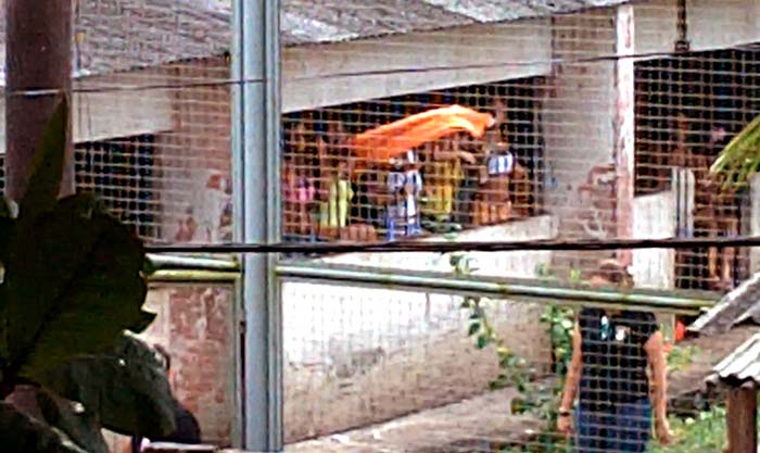 
        
            Termina rebelião no Centro de Recuperação Feminino
        
    