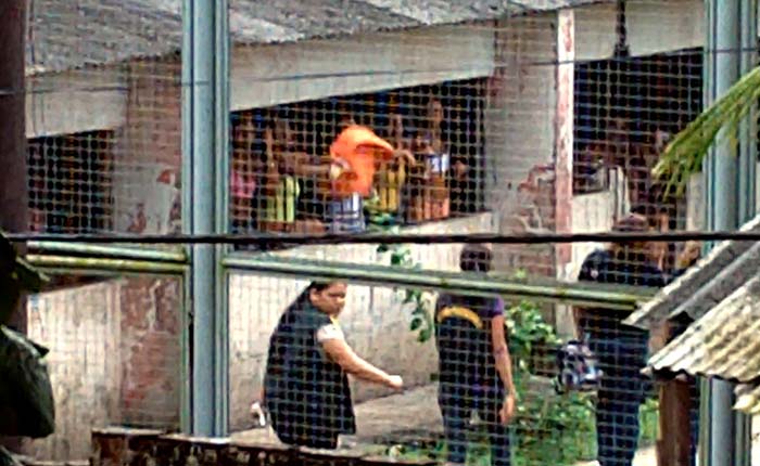 
        
            Termina rebelião no Centro de Recuperação Feminino
        
    
