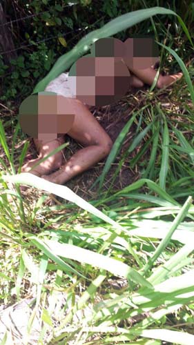 
        
            Polícia investiga assassinato de mulheres
        
    