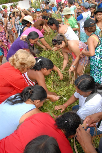 
        
            Veja imagens da tradicional festa do Sairé, em Santarém
        
    