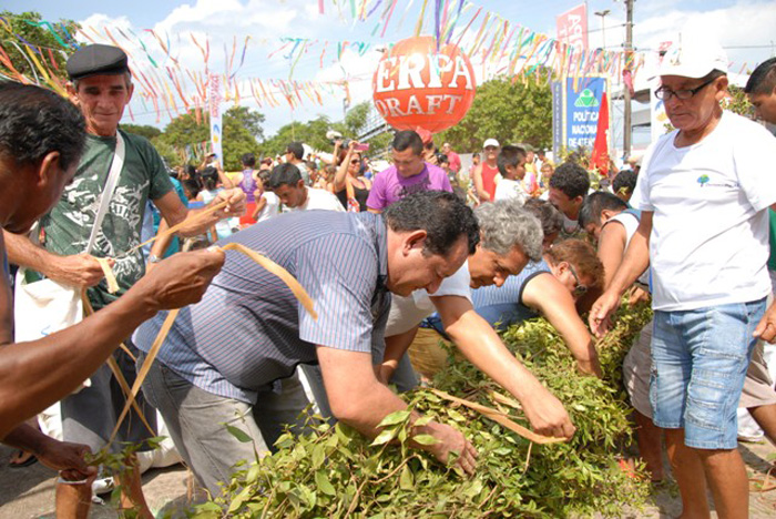 
        
            Veja imagens da tradicional festa do Sairé, em Santarém
        
    
