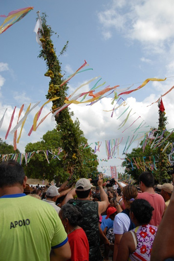 
        
            Veja imagens da tradicional festa do Sairé, em Santarém
        
    