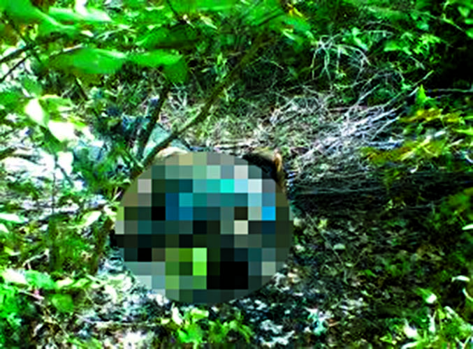 
        
            Dois paraenses são mortos em Santa Catarina
        
    