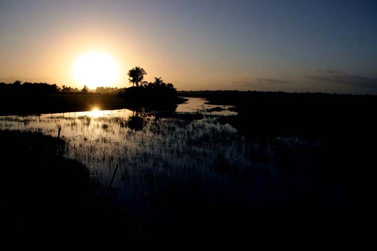 
        
            Bragança e Tracuateua: maravilhas do Pará
        
    