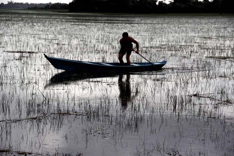 
        
            Bragança e Tracuateua: maravilhas do Pará
        
    