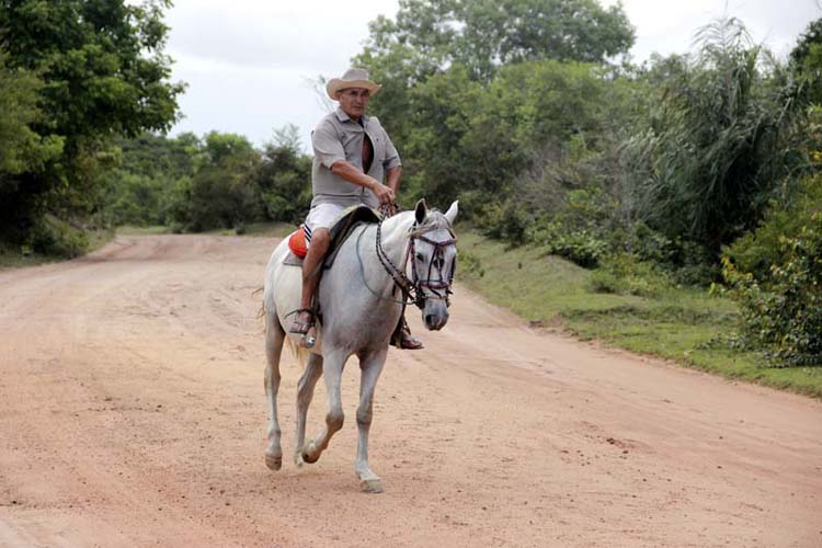 
        
            Bragança e Tracuateua: maravilhas do Pará
        
    