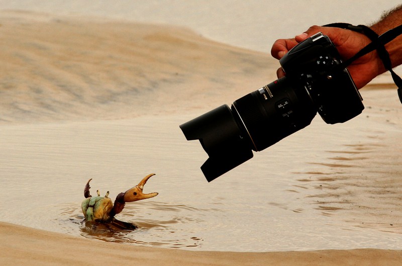 
        
            Expedição fotográfica estimula olhar para o Marajó
        
    