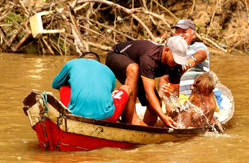 
        
            Expedição fotográfica estimula olhar para o Marajó
        
    