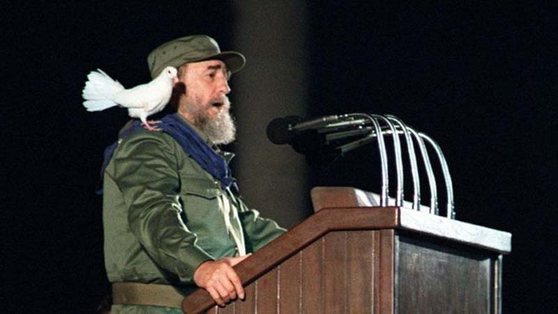 
        
        
            Fidel Castro morre aos 90 anos
        
    