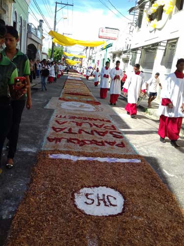 
        
            Confira as imagens da celebração de Corpus Christi no Pará
        
    