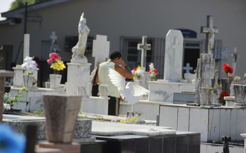 
        
            Familiares e amigos relembram entes queridos
        
    