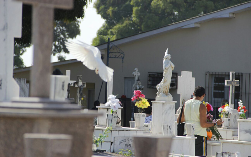 
        
            Familiares e amigos relembram entes queridos
        
    