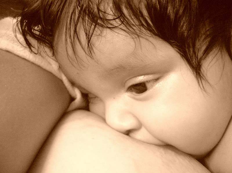 
        
            Mamães e bebês estampam galeria do Dia da Amamentação
        
    
