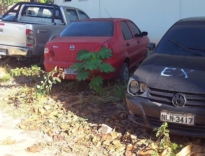
        
            Servidores denunciam abandono em unidades do Detran
        
    