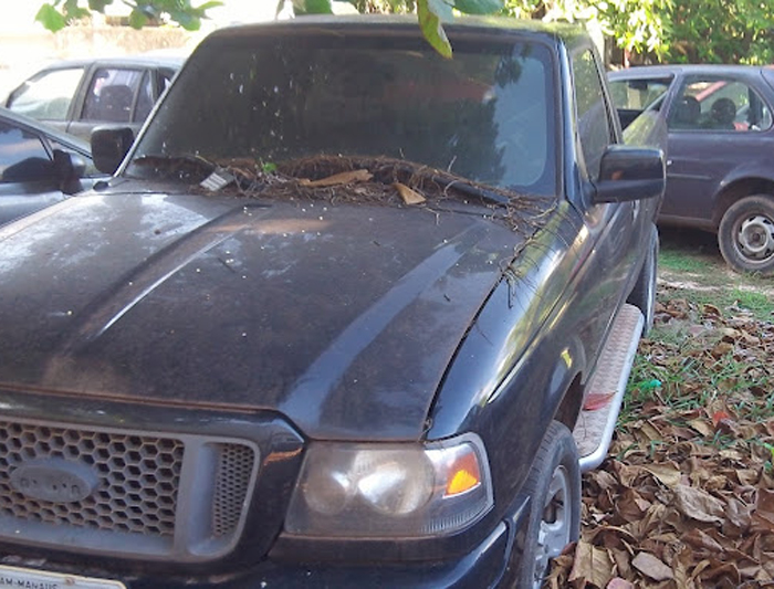 
        
            Servidores denunciam abandono em unidades do Detran
        
    
