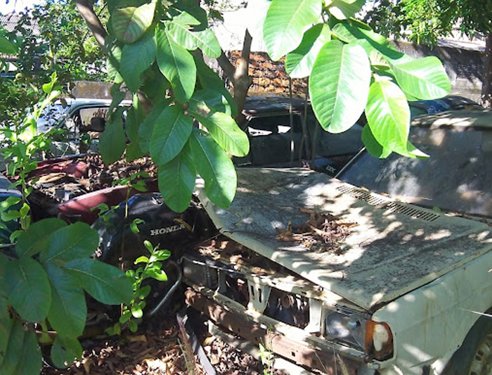 
        
            Servidores denunciam abandono em unidades do Detran
        
    