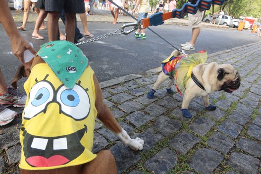 
        
            Fantasias curiosas marcam Carnaval 2015
        
    