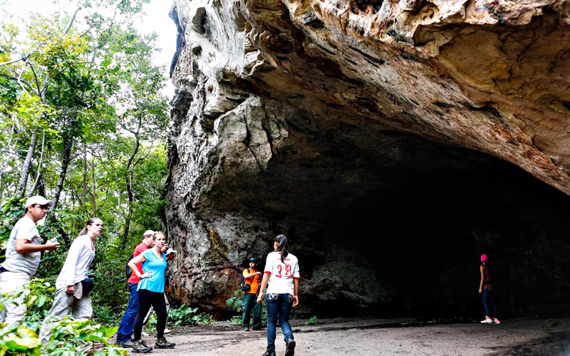 
        
            Monte Alegre: 135 anos de belezas indescritíveis
        
    