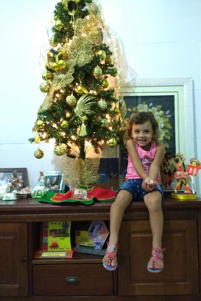 
        
            DOL entra em clima de Natal com galeria especial
        
    