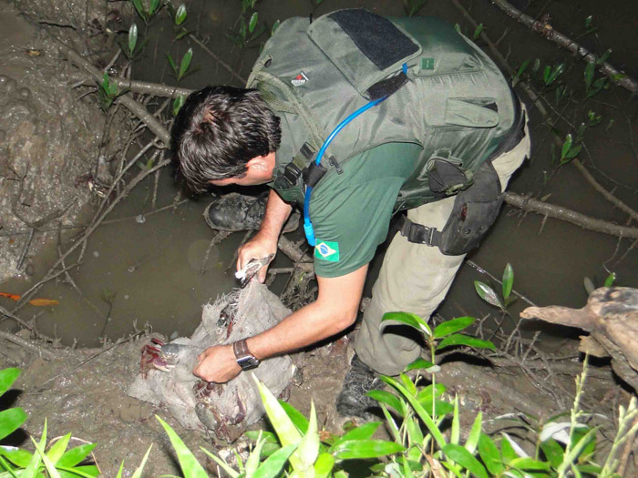 
        
            Operação apreende mais de 30 mil caranguejos
        
    