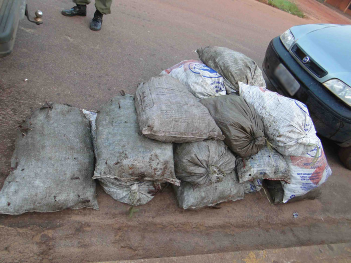 
        
            Operação apreende mais de 30 mil caranguejos
        
    